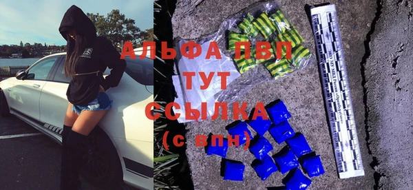 стаф Абаза