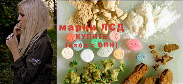 стаф Абинск