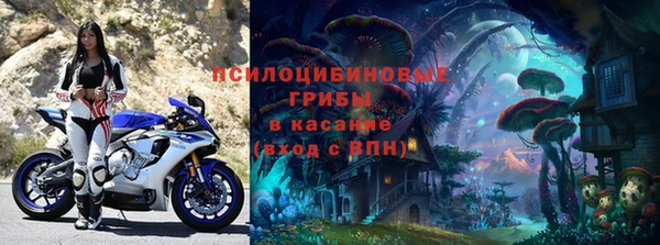 стаф Абинск
