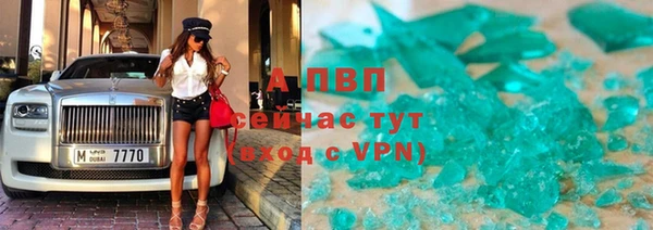 стаф Абинск