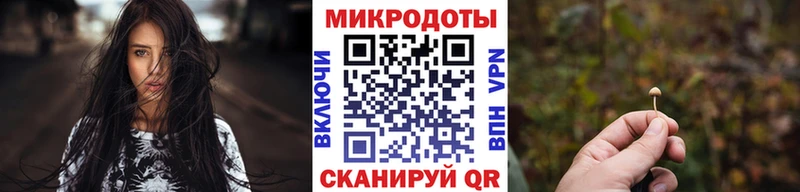 купить цена Ангарск Псилоцибиновые грибы мицелий