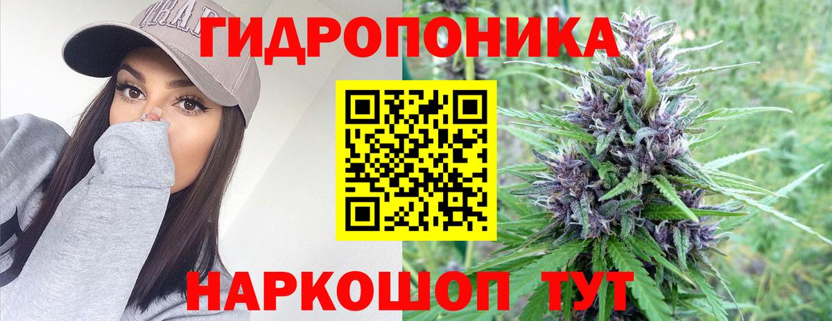Конопля планчик Ангарск