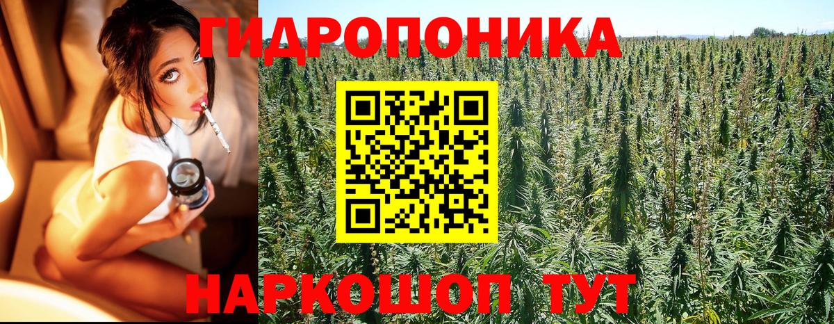 Каннабис планчик  Вход с VPN  Конопля OG Kush  Ангарск  Канабис планчик  Канабис тримм 